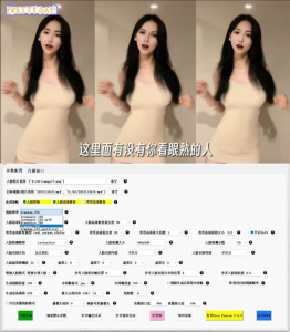 AI人脸替换工具开源 v5.6 一键替换超强-迟之资源