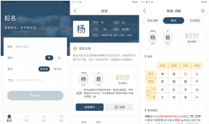 取名字典v1.0.1取名 解名简洁小软件破解版-迟之资源
