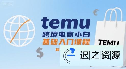 temu跨境电商小白基础入门课程,新手必看