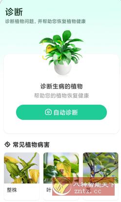 Plant Parent 植物养护v1.9.9高级版-迟之资源