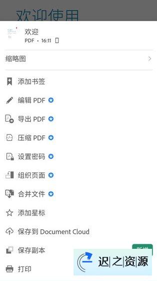 Adobe Acrobat Reader Pro 鼻祖级PDF处理器v25.10.1.41618专业版-迟之资源