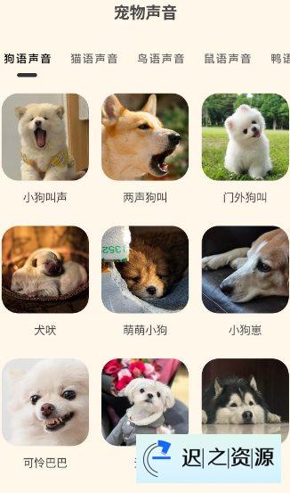 哆啦猫狗翻译器1.2.6高级版