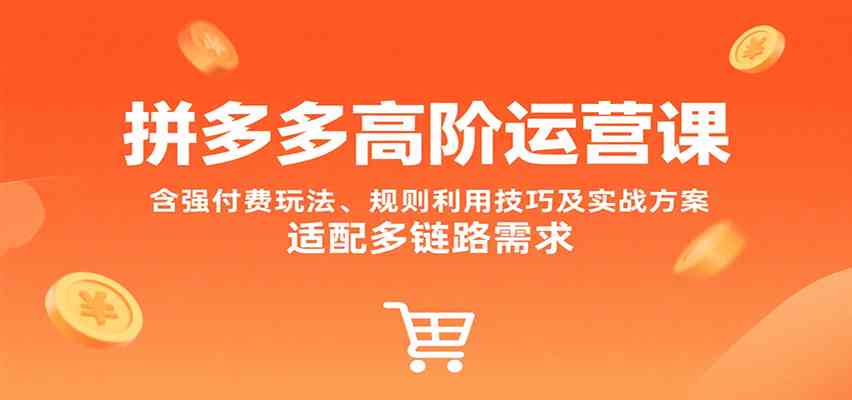 拼多多高阶运营课，含强付费玩法、规则利用技巧及实战方案，适配多链路需求-迟之资源