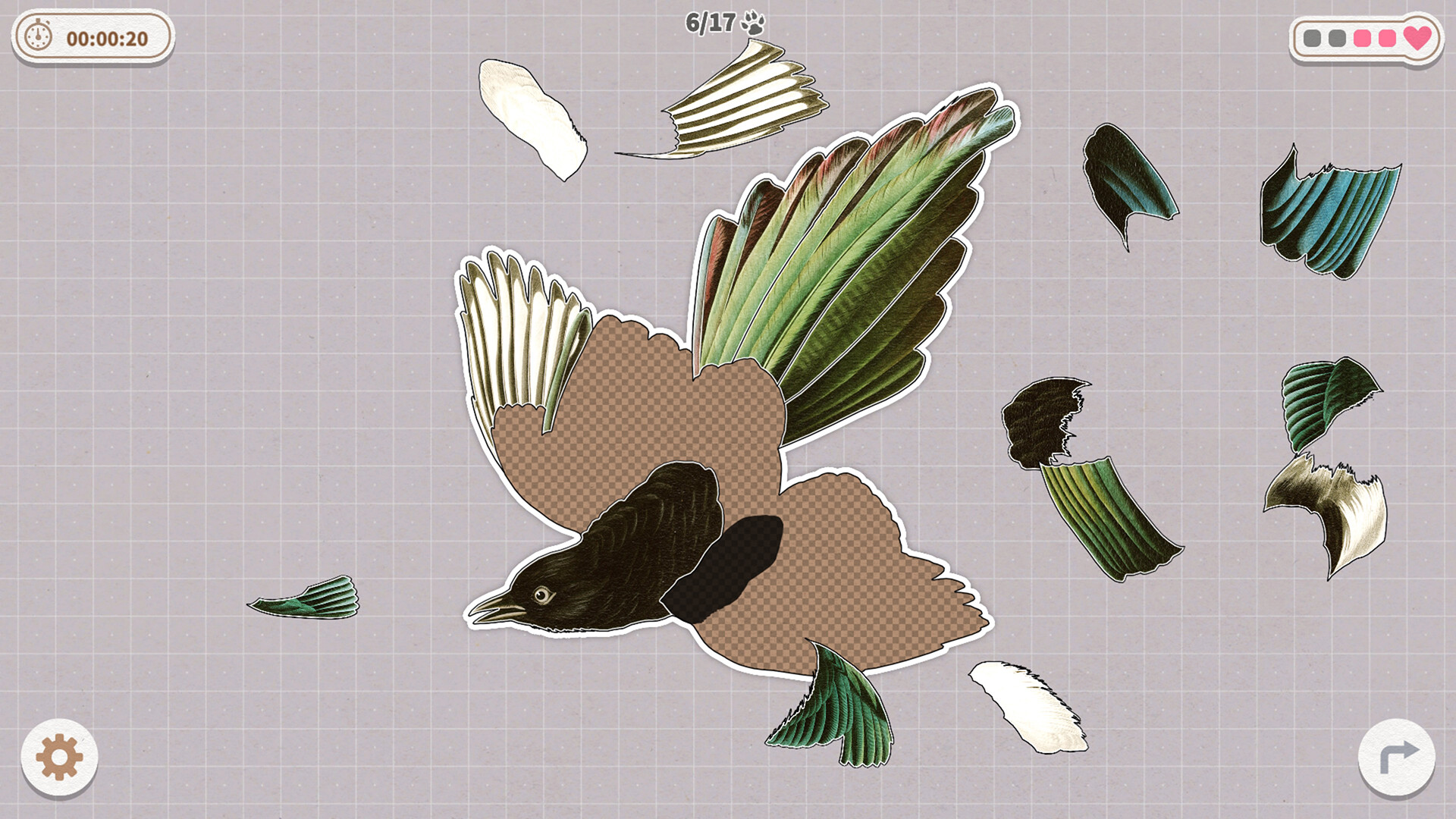 挤在一起的鸟鸟/Birds Huddled Together