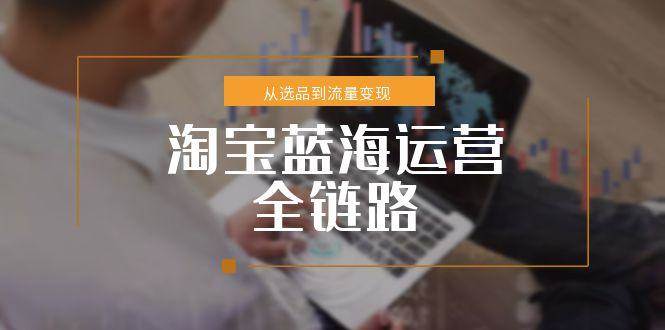 （15160期）淘宝蓝海运营全链路，从选品到流量变现，小类目突围完整方案-迟之资源