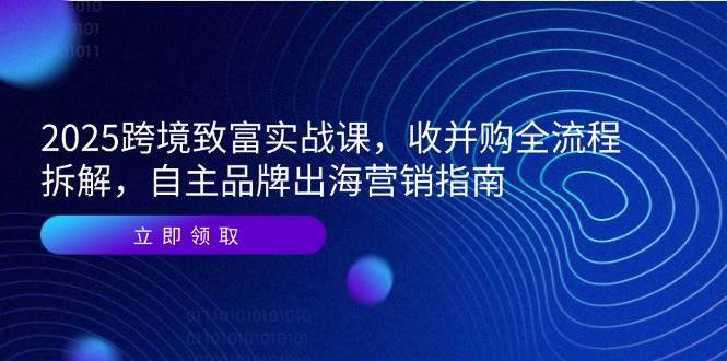 (14975期)2025跨境致富实战课,收并购全流程拆解,自主品牌出海营销指南