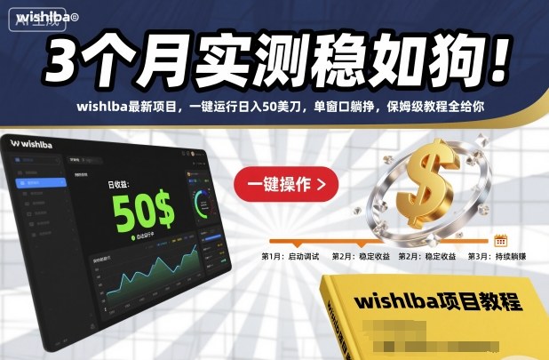 3个月实测稳如狗！wishlba最新项目，一键运行日入50美刀，单窗口躺挣，保姆级教程全给你【揭秘】-迟之资源
