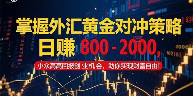 (15198期)掌握外汇黄金对冲策略,日赚 800 – 2000,小众高回报创业机会,助你实…
