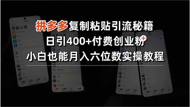 （15613期）拼多多复制粘贴引流秘籍，日引400+付费创业粉，小白也能月入六位数实操…-迟之资源