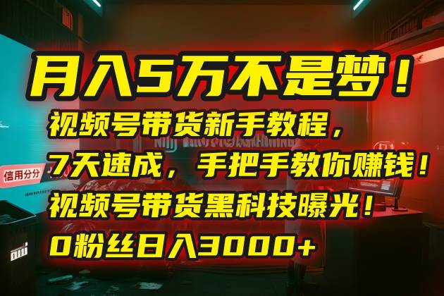 （15595期）月入5万不是梦！视频号带货新手教程，7天速成，手把手教你赚钱！视频号…-迟之资源
