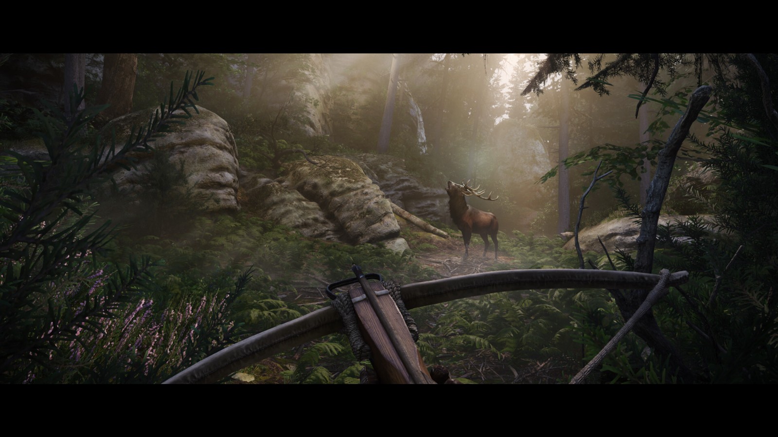 《天国：拯救2》v1.3中文版-迟之资源