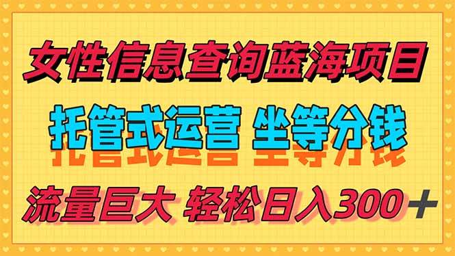 (15216期)稳定日入300+,小众信息查询蓝海项目,全程懒人式托管,解放你的时间-迟之资源